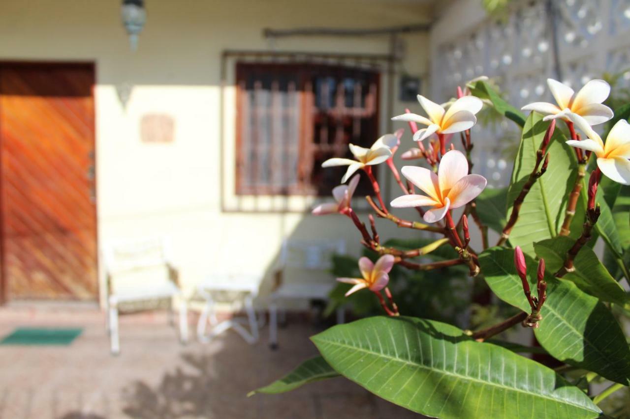 Cancun Guest House Eksteriør bilde